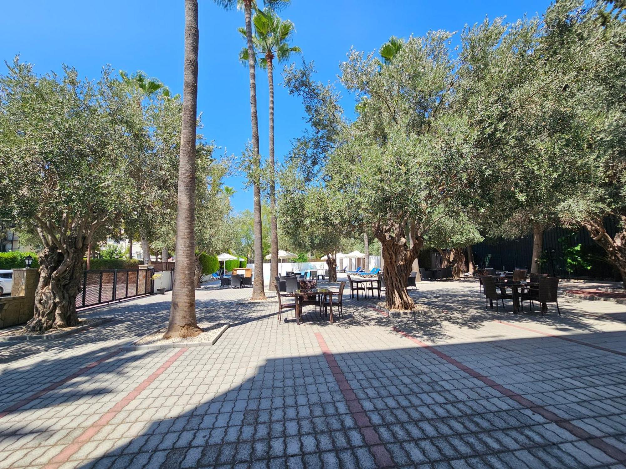 Otel Park Palace